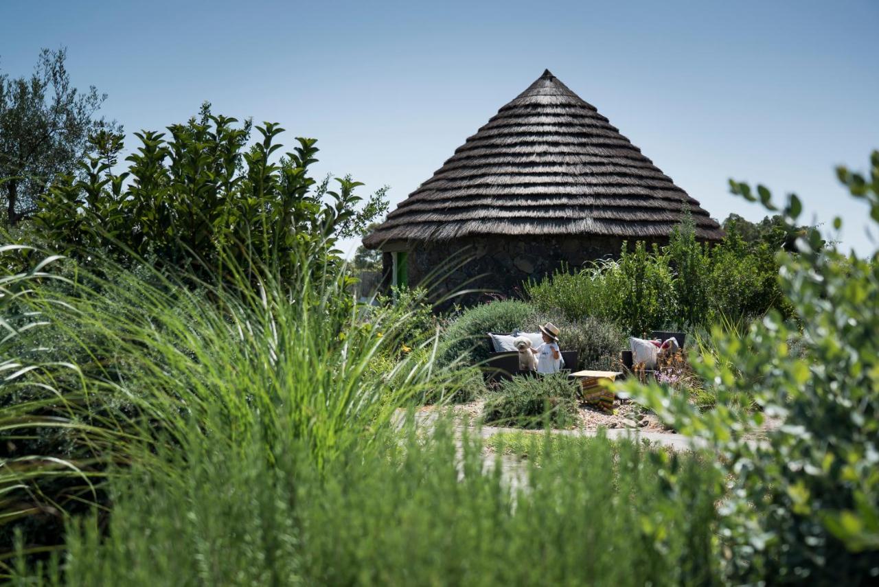 Is Cheas Wine Farm Boutique Hotel San Vero Milis Eksteriør billede