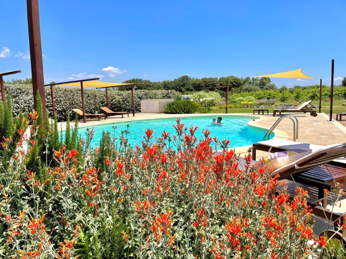 Is Cheas Wine Farm Boutique Hotel San Vero Milis Eksteriør billede