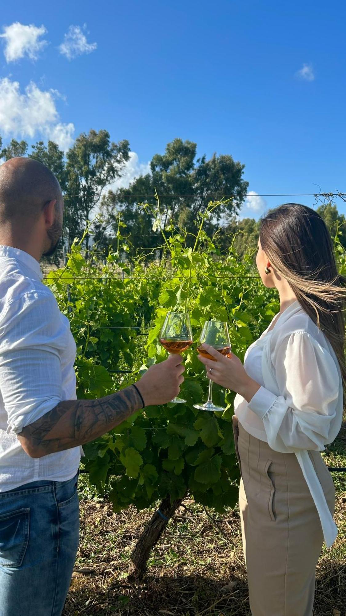 Is Cheas Wine Farm Boutique Hotel San Vero Milis Eksteriør billede