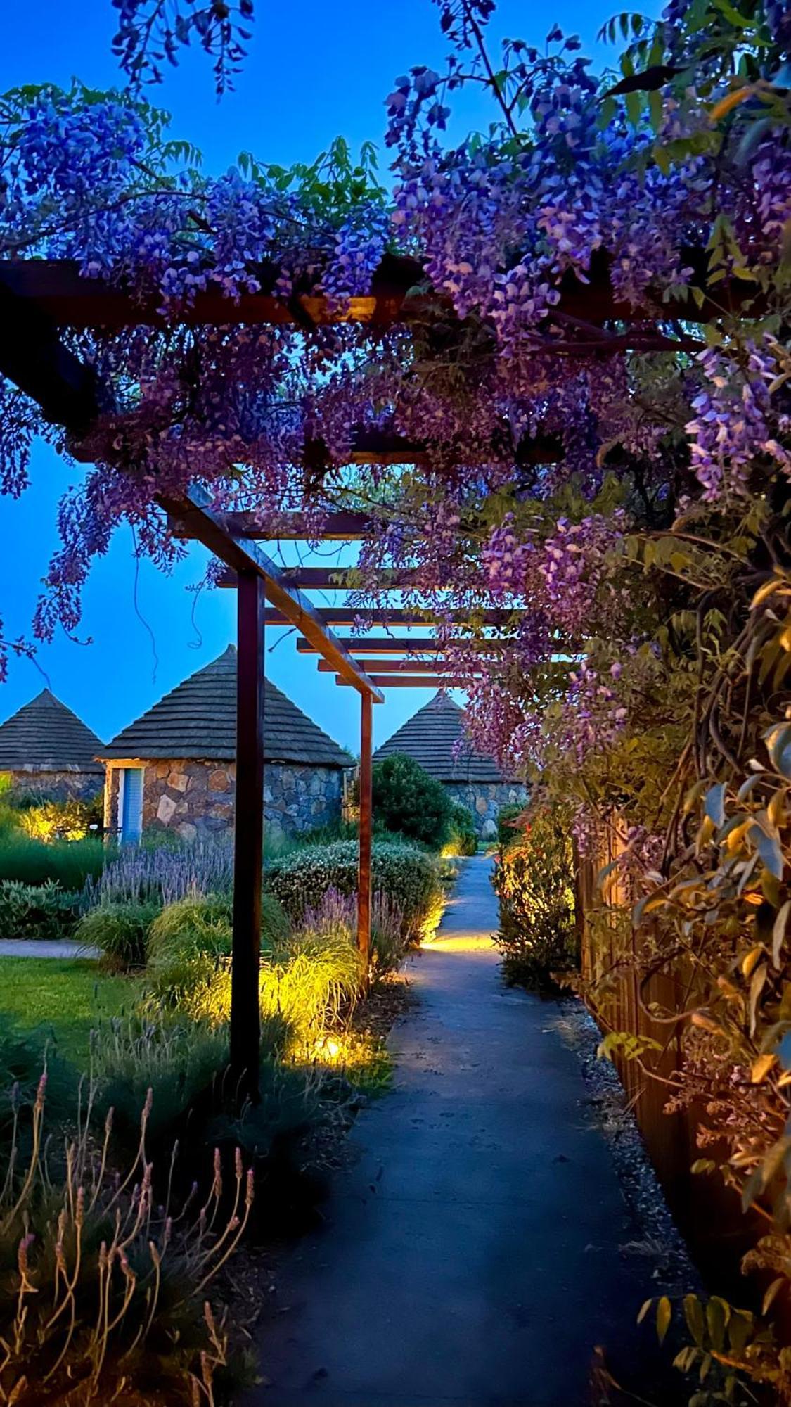Is Cheas Wine Farm Boutique Hotel San Vero Milis Eksteriør billede